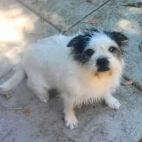 Thumbnail photo of Barbie #3