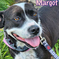 Thumbnail photo of Margot #3
