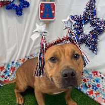 Thumbnail photo of Liverwurst #2