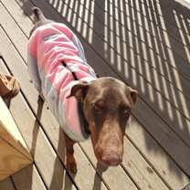 Thumbnail photo of Faith #1