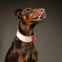 Thumbnail photo of Faith #2