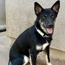 Thumbnail photo of Jaxson #1