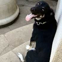 Thumbnail photo of Jaxson #2