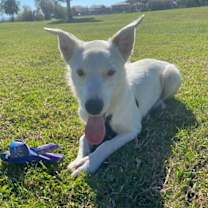 Thumbnail photo of Casper #2