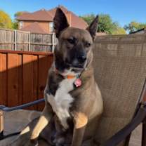 Thumbnail photo of Luna GDP #1