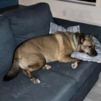 Thumbnail photo of Luna GDP #2