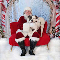 Thumbnail photo of Petey D #2