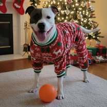 Thumbnail photo of Petey D #3