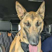 Thumbnail photo of Sadie FKA Crater in CO #1