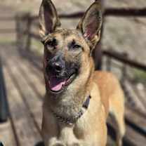 Thumbnail photo of Sadie FKA Crater in CO #2