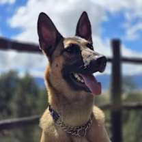 Thumbnail photo of Sadie FKA Crater in CO #3