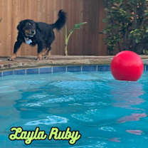 Thumbnail photo of Layla Ruby #4