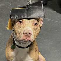 Thumbnail photo of Woody #1