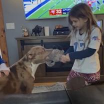 Thumbnail photo of Woody #3