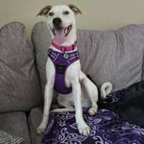 Thumbnail photo of Kentucky #4