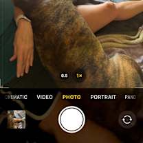 Thumbnail photo of Gracie #3