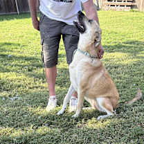 Thumbnail photo of Luna #2