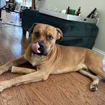 Thumbnail photo of Shyne #2