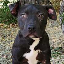 Thumbnail photo of Lola #1