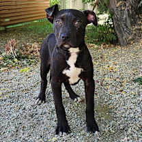 Thumbnail photo of Lola #3