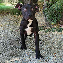 Thumbnail photo of Lola #4