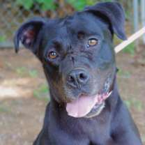 Thumbnail photo of Clyde #1