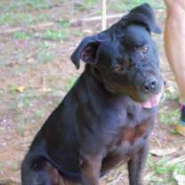 Thumbnail photo of Clyde #2