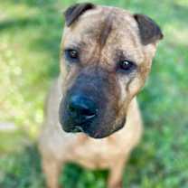 Thumbnail photo of Dancer #2