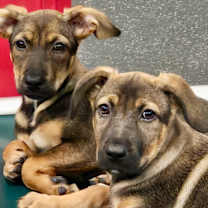 Thumbnail photo of Susan #2