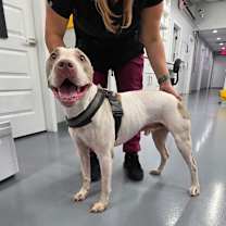 Thumbnail photo of McGuire  #2