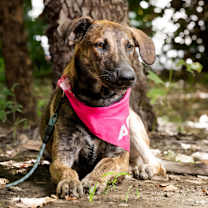 Thumbnail photo of Macy #3