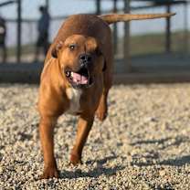 Thumbnail photo of Tanner #2