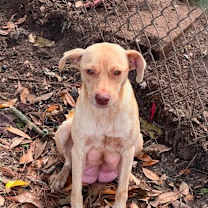 Thumbnail photo of HOLLY #3