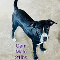 Thumbnail photo of Camilo (Cam) #2