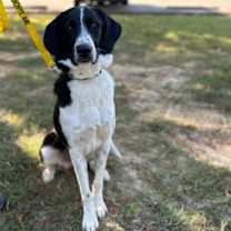 Thumbnail photo of June #1