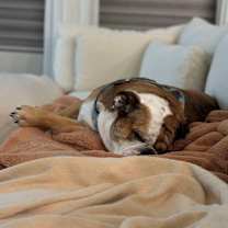 Thumbnail photo of Norah Roxie Jean #2