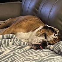 Thumbnail photo of Norah Roxie Jean #3