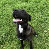 Thumbnail photo of Karlie #2