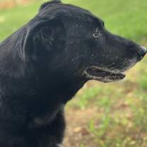 Thumbnail photo of Cassidy #4