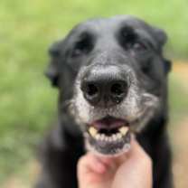 Thumbnail photo of Cassidy #4