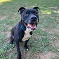 Thumbnail photo of Matteo #2