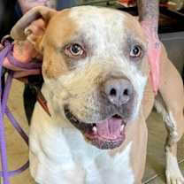 Thumbnail photo of Oz #2