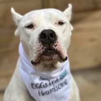 Thumbnail photo of Slater #2