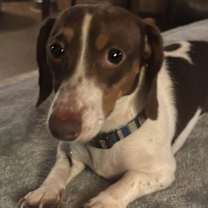 Thumbnail photo of Axel #1