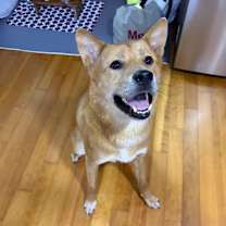 Thumbnail photo of SONNY (S. Korea) as #4