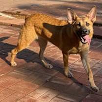 Thumbnail photo of claudia #1