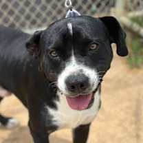 Thumbnail photo of Baker #3