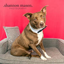 Thumbnail photo of Mougli #1