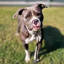 Thumbnail photo of Toots #1