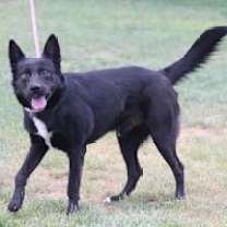 Thumbnail photo of WALLIE #1